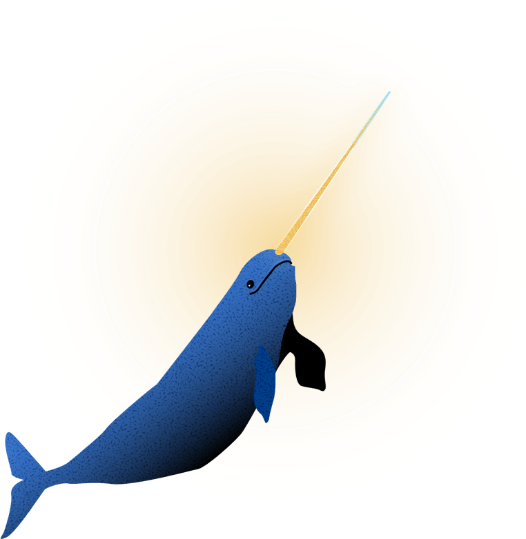 Big narwhal