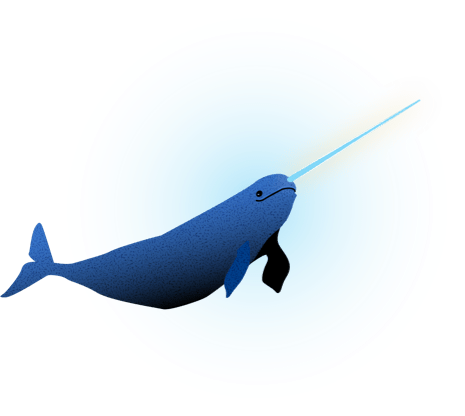 Small narwhal